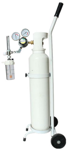 FRES Flowmeter Oksigen Dewasa 0 - 15 LPM lengkap Regulator dan Tabung Oksigen + Troly + Humidifier 135 ML - Image 1